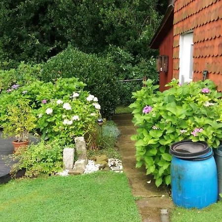 Ferienwohnung Im Waldwinkel Stadthagen Dış mekan fotoğraf